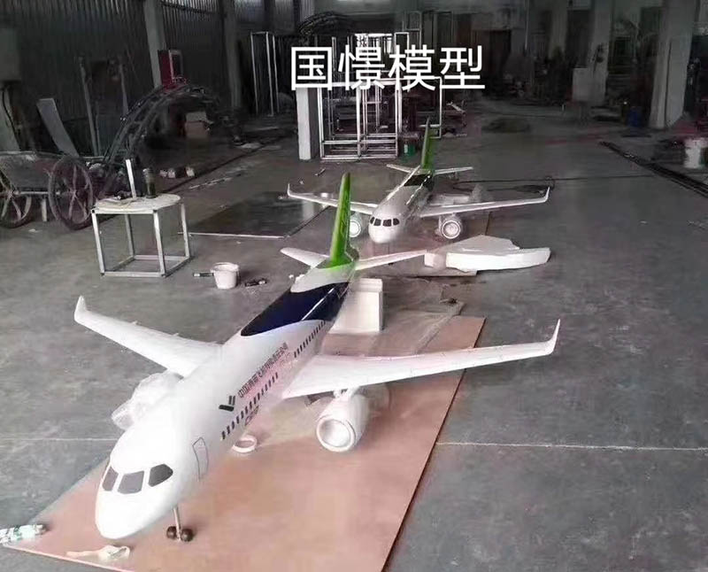 泸西县飞机模型
